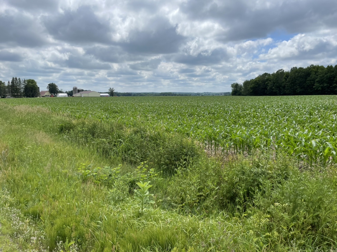 Lots of farmland along the route in the afternoon