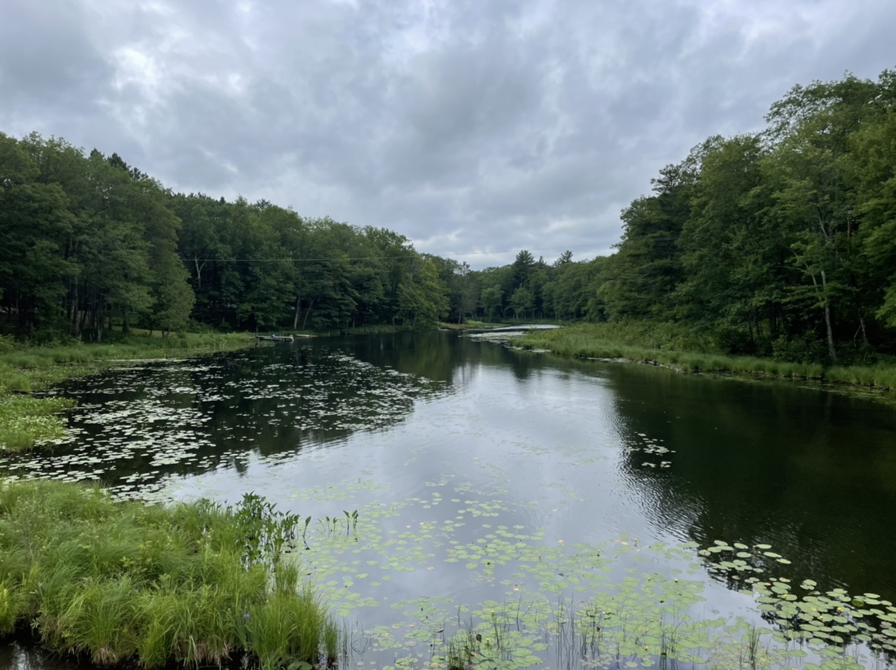 Lots of lakes and forests along the route in the morning