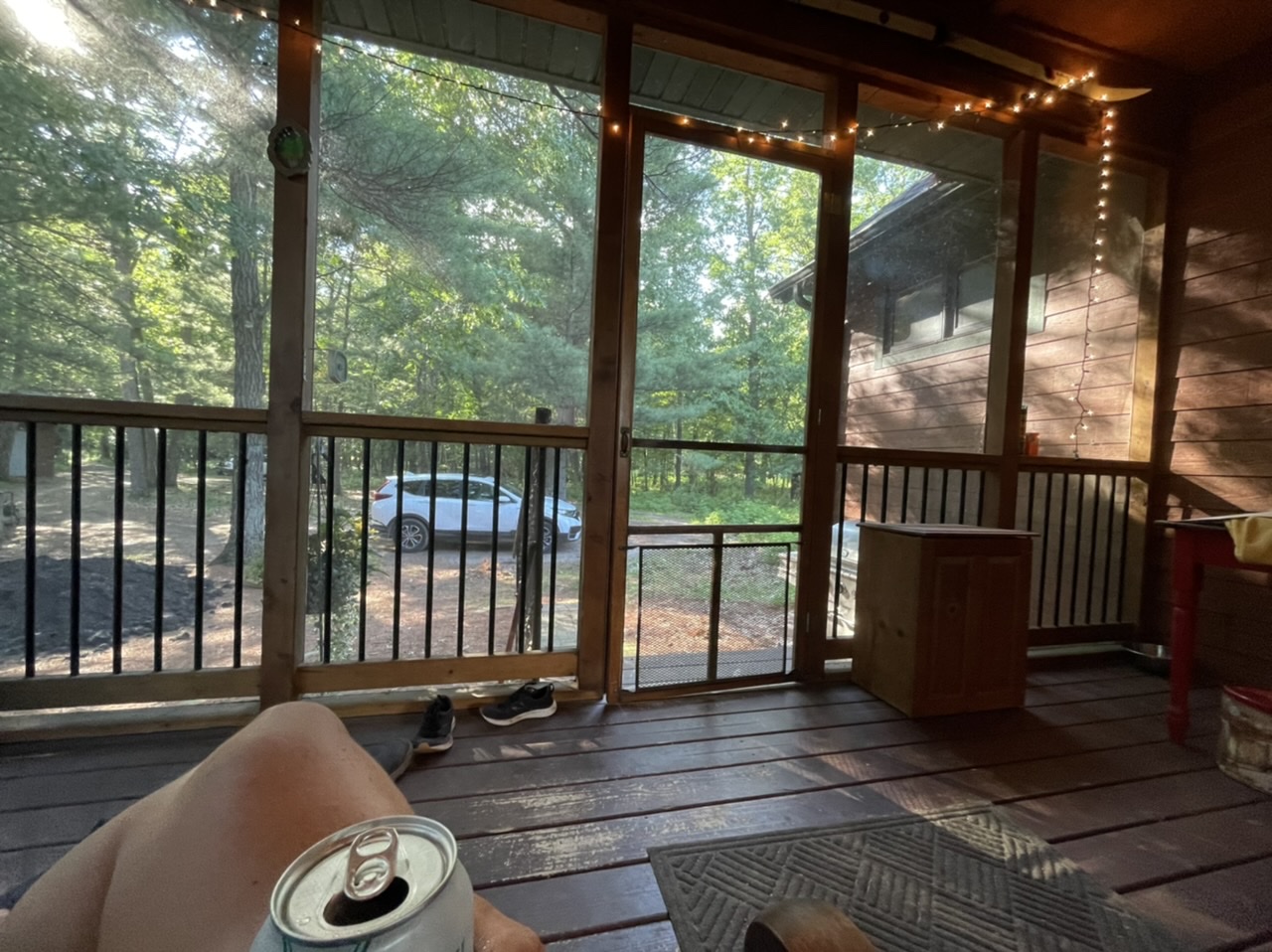 Enjoying the screened in porch (no mosquitos) overlooking the woods