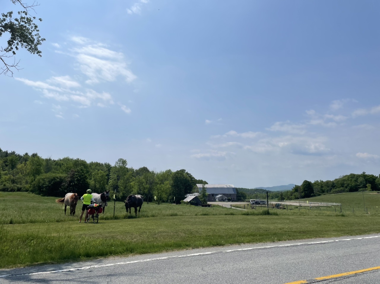 My mom saying hello to the local horses with the Green Mountains across Lake Champlain in the distance