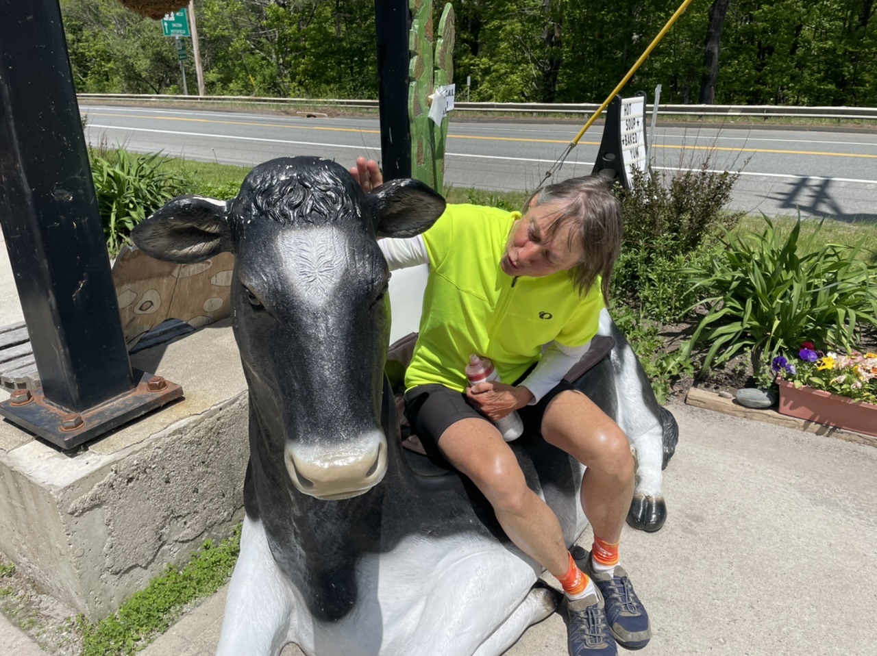 My mom made a new friend at a very cow themed grocery co-op