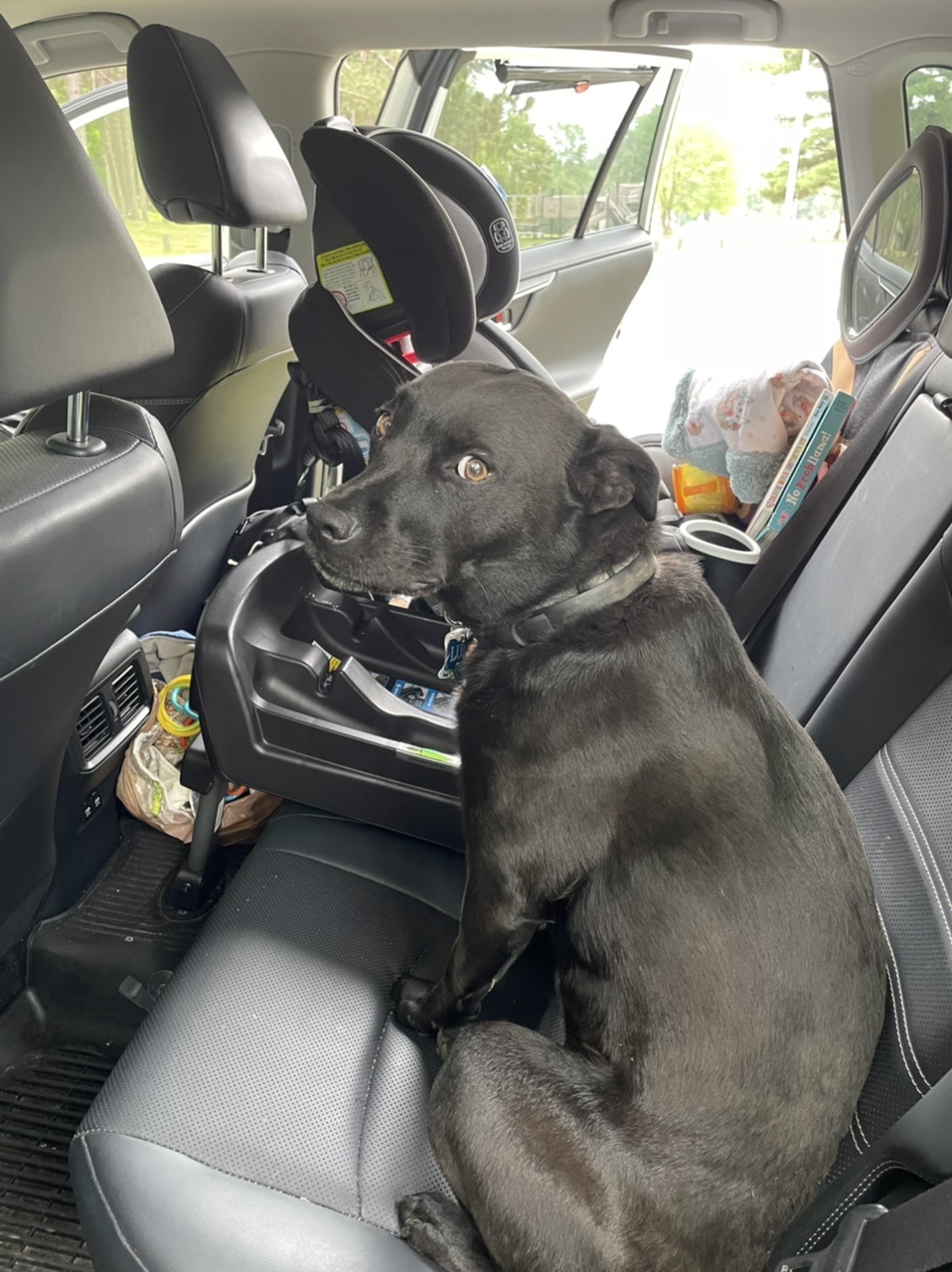 Luna really wanted my seat, but she got to ride with Kyle and Rue instead 