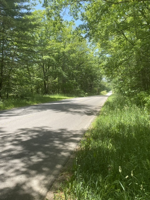 Biking through Manistee National Forest