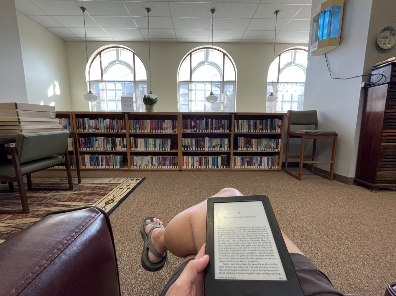 Reading on a comfy couch in the cool library 