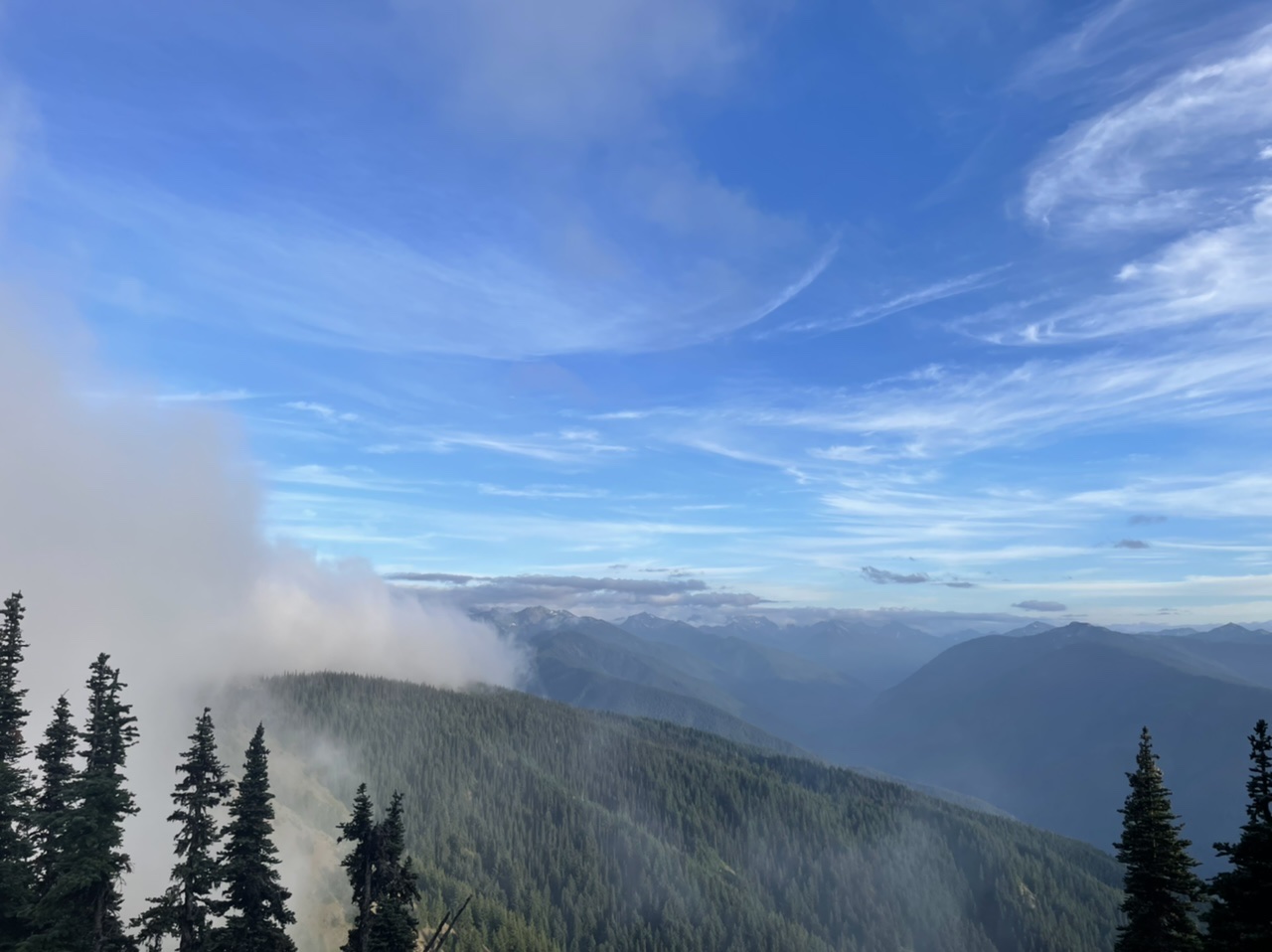 Up in the clouds at Hurricane Hill with the Olympics in the distance