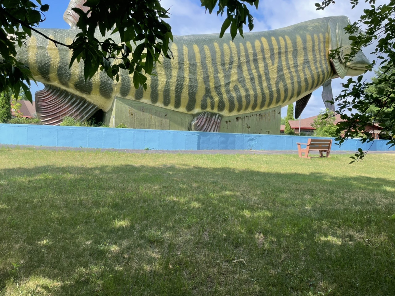 The giant Muskie statue at the fishing museum (we didn’t go into the fishing museum, so this is the best photo I could get)