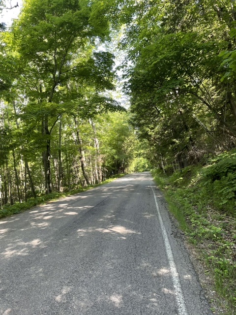 The Tunnel of Trees Scenic Byway 