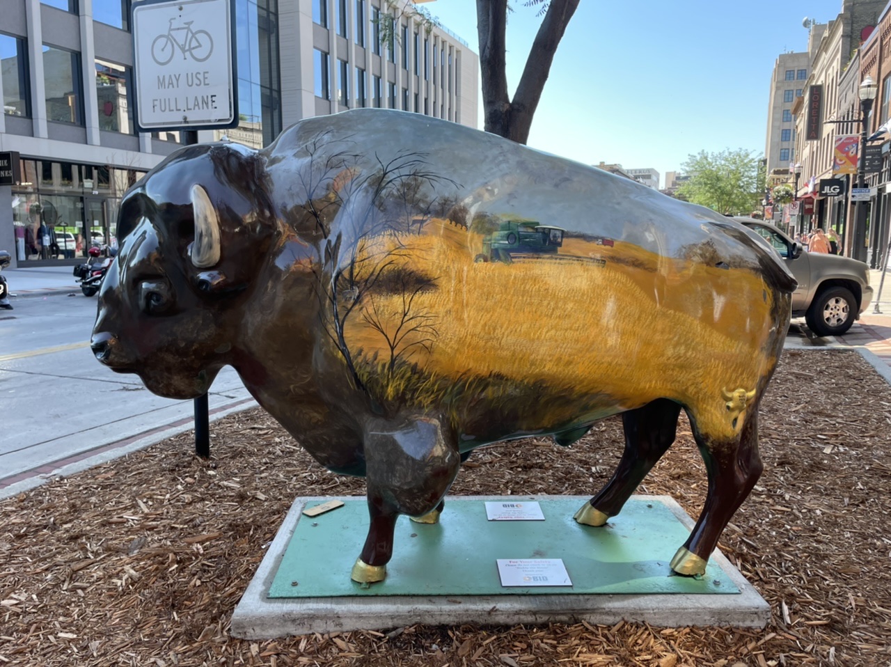 There are painted bison statues installed around town