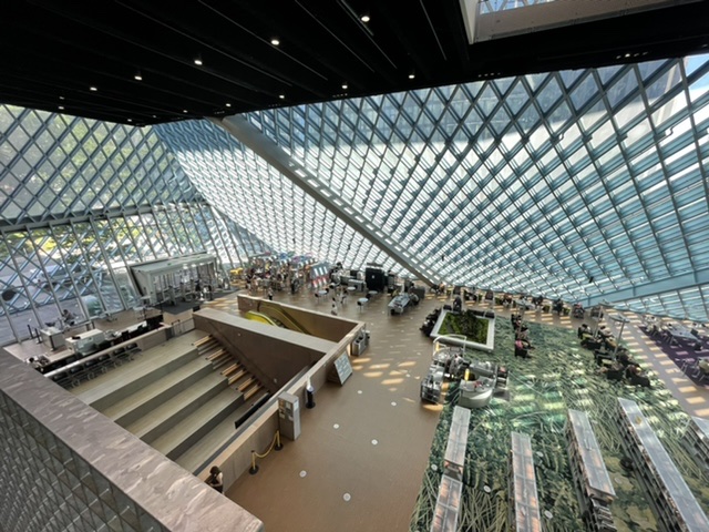 Looking down on the main floor of the library