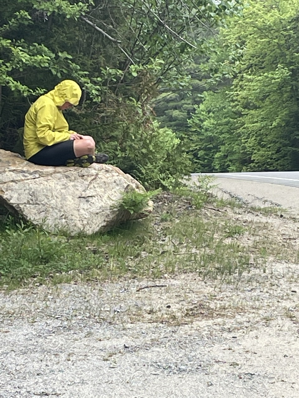 Lunch spot for the day. It was drizzling, but the hood was up on my raincoat to keep bugs out