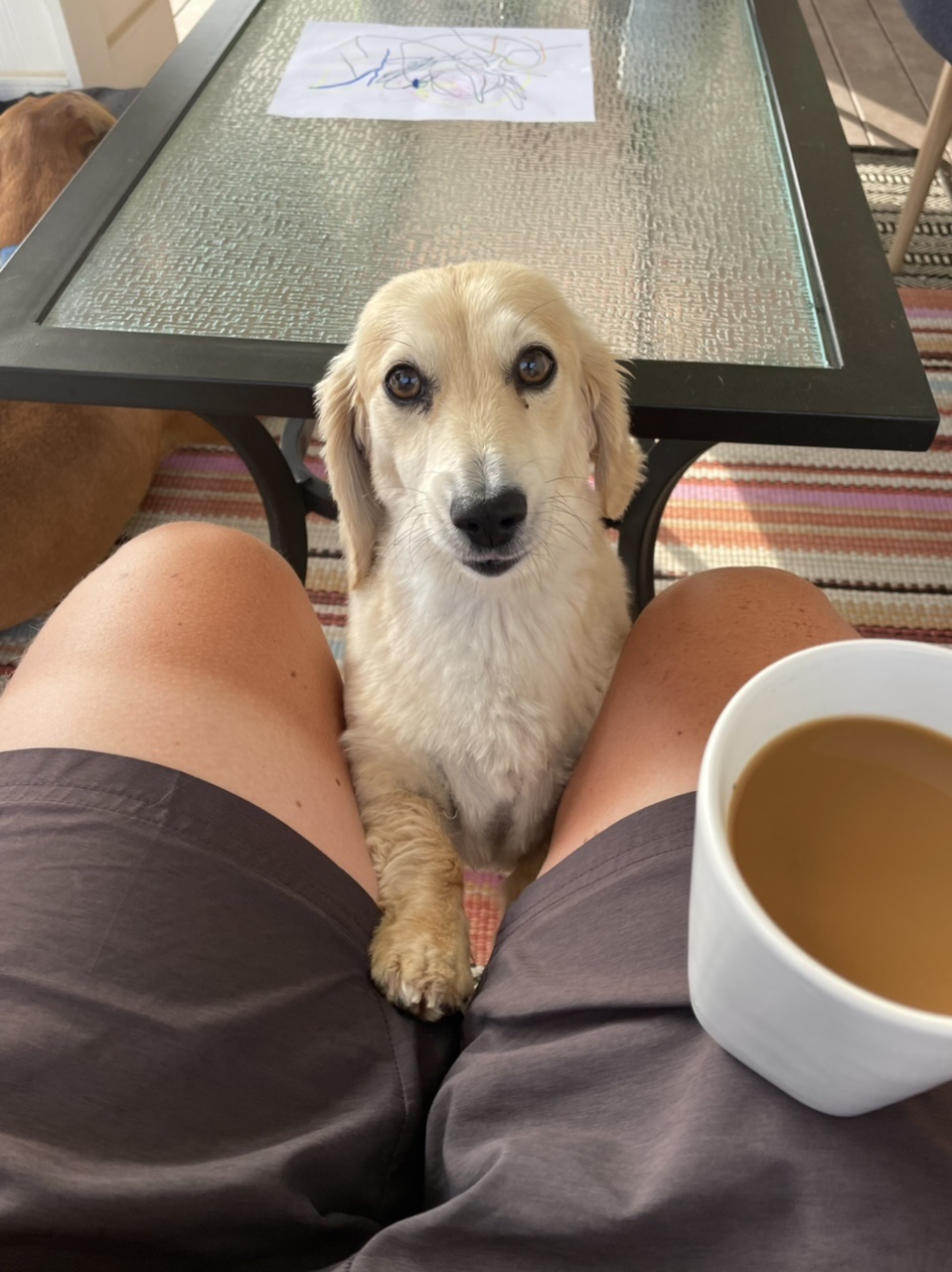 Morning coffee on the deck with Vinny