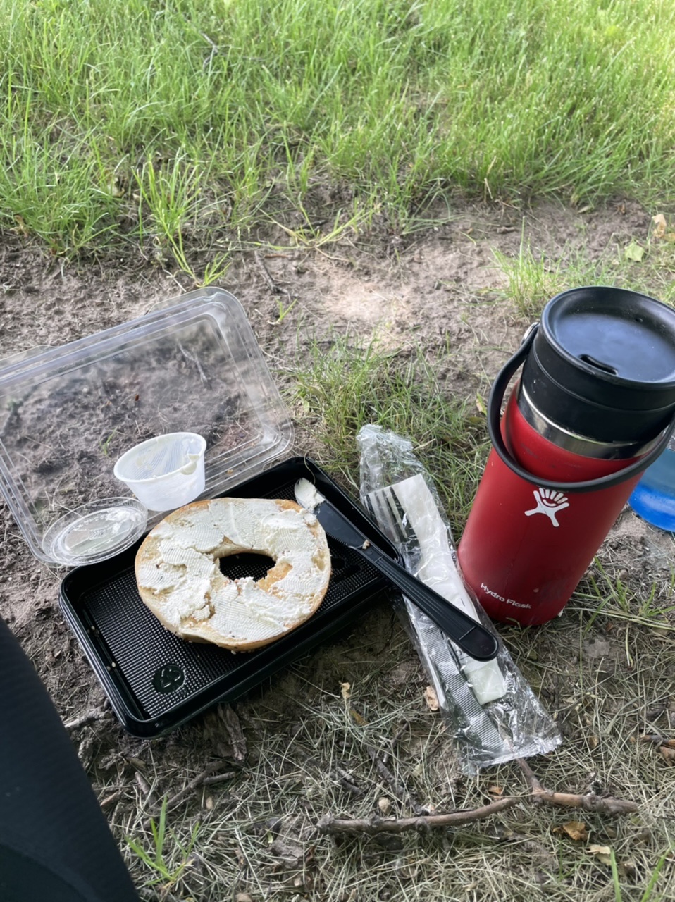 Second lunch of a toasted everything bagel with chive cream cheese, and coffee