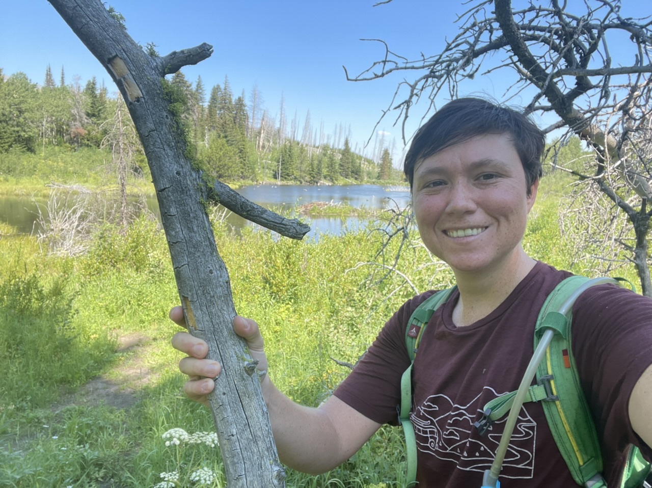 Hiking around Glacier